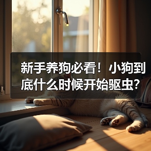 新手养狗必看!小狗到底什么时候开始驱虫?(图1) 新手养狗必看!小狗到底什么时候开始驱虫?(图1)