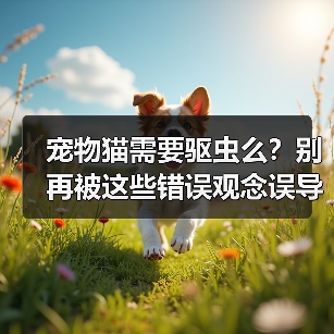 宠物猫需要驱虫么?别再被这些错误观念误导了(图1) 宠物猫需要驱虫么?别再被这些错误观念误导了(图1)
