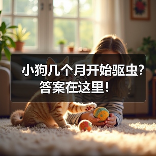 小狗几个月开始驱虫？答案在这里！（图1）