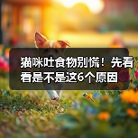 猫咪吐食物别慌!先看看是不是这6个原因(图3) 猫咪吐食物别慌!先看看是不是这6个原因(图3)