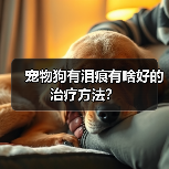 宠物狗有泪痕有啥好的治疗方法？（图3）