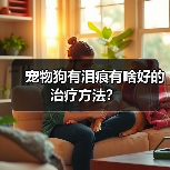 宠物狗有泪痕有啥好的治疗方法？（图4）