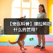【宠医科普】猫拉稀吃什么药管用?(图2) 【宠医科普】猫拉稀吃什么药管用?(图2)