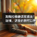 狗狗拉稀像泥浆很臭？别慌，这些药物可以急救！（图4）