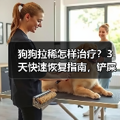 狗狗拉稀怎样治疗？3天快速恢复指南，铲屎官必看！（图4）