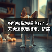 狗狗拉稀怎样治疗？3天快速恢复指南，铲屎官必看！（图1）