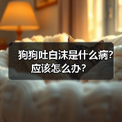 狗狗吐白沫是什么病？应该怎么办？（图3）