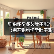 狗狗怀孕多久肚子涨?(揭开狗狗怀孕肚子涨的奥秘)(图3) 狗狗怀孕多久肚子涨?(揭开狗狗怀孕肚子涨的奥秘)(图3)