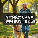 探究狗狗为何会吃草（解释狗狗吃草的原因及如何应对）