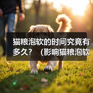 猫粮泡软的时间究竟有多久？（影响猫粮泡软时间的关键因素及正确的泡软方式）
