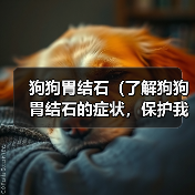 狗狗胃结石(了解狗狗胃结石的症状,保护我们的忠诚伙伴)(图4) 狗狗胃结石(了解狗狗胃结石的症状,保护我们的忠诚伙伴)(图4)