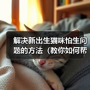 解决新出生猫咪怕生问题的方法（教你如何帮助小猫克服害羞和恐惧）