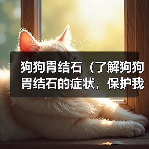狗狗胃结石(了解狗狗胃结石的症状,保护我们的忠诚伙伴)(图3) 狗狗胃结石(了解狗狗胃结石的症状,保护我们的忠诚伙伴)(图3)