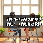 狗狗怀孕后多久能摸到胎动?(胎动触感及胚胎发育阶段)(图4) 狗狗怀孕后多久能摸到胎动?(胎动触感及胚胎发育阶段)(图4)
