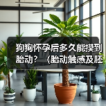 狗狗怀孕后多久能摸到胎动?(胎动触感及胚胎发育阶段)(图2) 狗狗怀孕后多久能摸到胎动?(胎动触感及胚胎发育阶段)(图2)