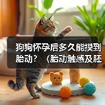 狗狗怀孕后多久能摸到胎动?(胎动触感及胚胎发育阶段)(图3) 狗狗怀孕后多久能摸到胎动?(胎动触感及胚胎发育阶段)(图3)
