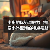 小狗的优势与魅力（探索小体型狗的特点与魅力，发现它们的无限魅力）