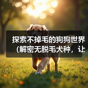 探索不掉毛的狗狗世界（解密无脱毛犬种，让你远离毛发困扰）（图4）