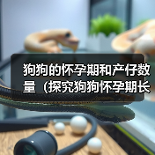 狗狗的怀孕期和产仔数量(探究狗狗怀孕期长短及每胎产仔数量的因素)(图2) 狗狗的怀孕期和产仔数量(探究狗狗怀孕期长短及每胎产仔数量的因素)(图2)