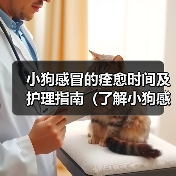 小狗感冒的痊愈时间及护理指南(了解小狗感冒的康复时间,为宠物提供适当的护理)(图2) 小狗感冒的痊愈时间及护理指南(了解小狗感冒的康复时间,为宠物提供适当的护理)(图2)