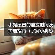 小狗感冒的痊愈时间及护理指南(了解小狗感冒的康复时间,为宠物提供适当的护理)(图3) 小狗感冒的痊愈时间及护理指南(了解小狗感冒的康复时间,为宠物提供适当的护理)(图3)