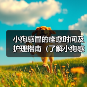 小狗感冒的痊愈时间及护理指南（了解小狗感冒的康复时间，为宠物提供适当的护理）