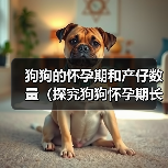 狗狗的怀孕期和产仔数量（探究狗狗怀孕期长短及每胎产仔数量的因素）