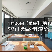 1月26日【重庆】(第125期)丨犬猫外科(高阶)班！含SUB(人人可实操)、乳糜胸等技术！（图4）