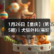 1月26日【重庆】(第125期)丨犬猫外科(高阶)班！含SUB(人人可实操)、乳糜胸等技术！（图2）