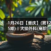 1月26日【重庆】(第125期)丨犬猫外科(高阶)班！含SUB(人人可实操)、乳糜胸等技术！