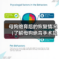 母狗绝育后的恢复情况(了解母狗绝育手术及恢复时间,让你放心养宠物)(图2) 母狗绝育后的恢复情况(了解母狗绝育手术及恢复时间,让你放心养宠物)(图2)