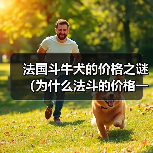 法国斗牛犬的价格之谜(为什么法斗的价格一直这么贵?)(图4) 法国斗牛犬的价格之谜(为什么法斗的价格一直这么贵?)(图4)