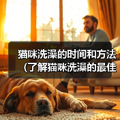 猫咪洗澡的时间和方法(了解猫咪洗澡的最佳时间和正确的洗澡方法)(图3) 猫咪洗澡的时间和方法(了解猫咪洗澡的最佳时间和正确的洗澡方法)(图3)