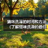 猫咪洗澡的时间和方法（了解猫咪洗澡的最佳时间和正确的洗澡方法）