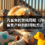 孔雀鱼的繁殖周期(孔雀鱼产卵的时间和方式)(图2) 孔雀鱼的繁殖周期(孔雀鱼产卵的时间和方式)(图2)