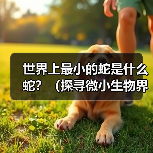 世界上最小的蛇是什么蛇?(探寻微小生物界的奇妙宠儿)(图2) 世界上最小的蛇是什么蛇?(探寻微小生物界的奇妙宠儿)(图2)