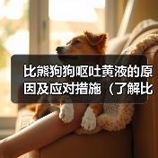 比熊狗狗呕吐黄液的原因及应对措施（了解比熊狗狗呕吐黄液的原因和如何应对，让你的宠物健康无忧）