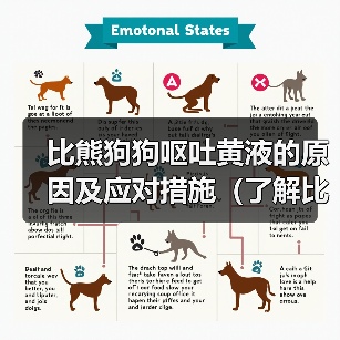 比熊狗狗呕吐黄液的原因及应对措施(了解比熊狗狗呕吐黄液的原因和如何应对,让你的宠物健康无忧)(图2) 比熊狗狗呕吐黄液的原因及应对措施(了解比熊狗狗呕吐黄液的原因和如何应对,让你的宠物健康无忧)(图2)
