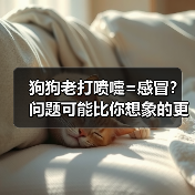 狗狗老打喷嚏=感冒？问题可能比你想象的更严重！（图3）