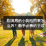 刚满月的小狗抱回来怎么养?新手必看的全攻略(图4) 刚满月的小狗抱回来怎么养?新手必看的全攻略(图4)