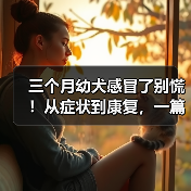 三个月幼犬感冒了别慌！从症状到康复，一篇读懂！（图4）