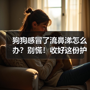 狗狗感冒了流鼻涕怎么办?别慌!收好这份护理指南(图4) 狗狗感冒了流鼻涕怎么办?别慌!收好这份护理指南(图4)