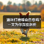 猫咪打喷嚏会自愈吗？一文为你深度剖析（图2）