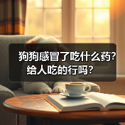 狗狗感冒了吃什么药?给人吃的行吗?(图1) 狗狗感冒了吃什么药?给人吃的行吗?(图1)