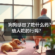 狗狗感冒了吃什么药?给人吃的行吗?(图3) 狗狗感冒了吃什么药?给人吃的行吗?(图3)
