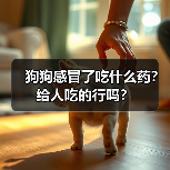 狗狗感冒了吃什么药?给人吃的行吗?(图2) 狗狗感冒了吃什么药?给人吃的行吗?(图2)