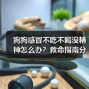 狗狗感冒不吃不喝没精神怎么办?救命指南分秒必争(图2) 狗狗感冒不吃不喝没精神怎么办?救命指南分秒必争(图2)