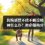狗狗感冒不吃不喝没精神怎么办?救命指南分秒必争(图4) 狗狗感冒不吃不喝没精神怎么办?救命指南分秒必争(图4)