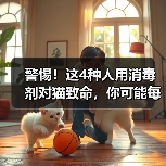 警惕!这4种人用消毒剂对猫致命,你可能每天都在误用!(图4) 警惕!这4种人用消毒剂对猫致命,你可能每天都在误用!(图4)