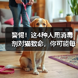 警惕!这4种人用消毒剂对猫致命,你可能每天都在误用!(图3) 警惕!这4种人用消毒剂对猫致命,你可能每天都在误用!(图3)